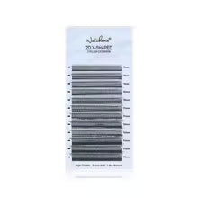 2D Y Single Tip Lashes