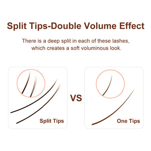 Borwn Ellipse Shape Eyelashes( Mix8-15mm / 12Rows)
