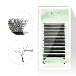 6D W-Shape Premade Volume Fan Lashes