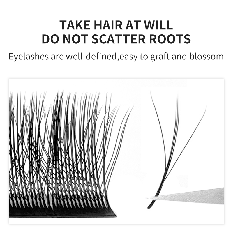 3D W Shape Eyelash Premade Volume Fan Lashes