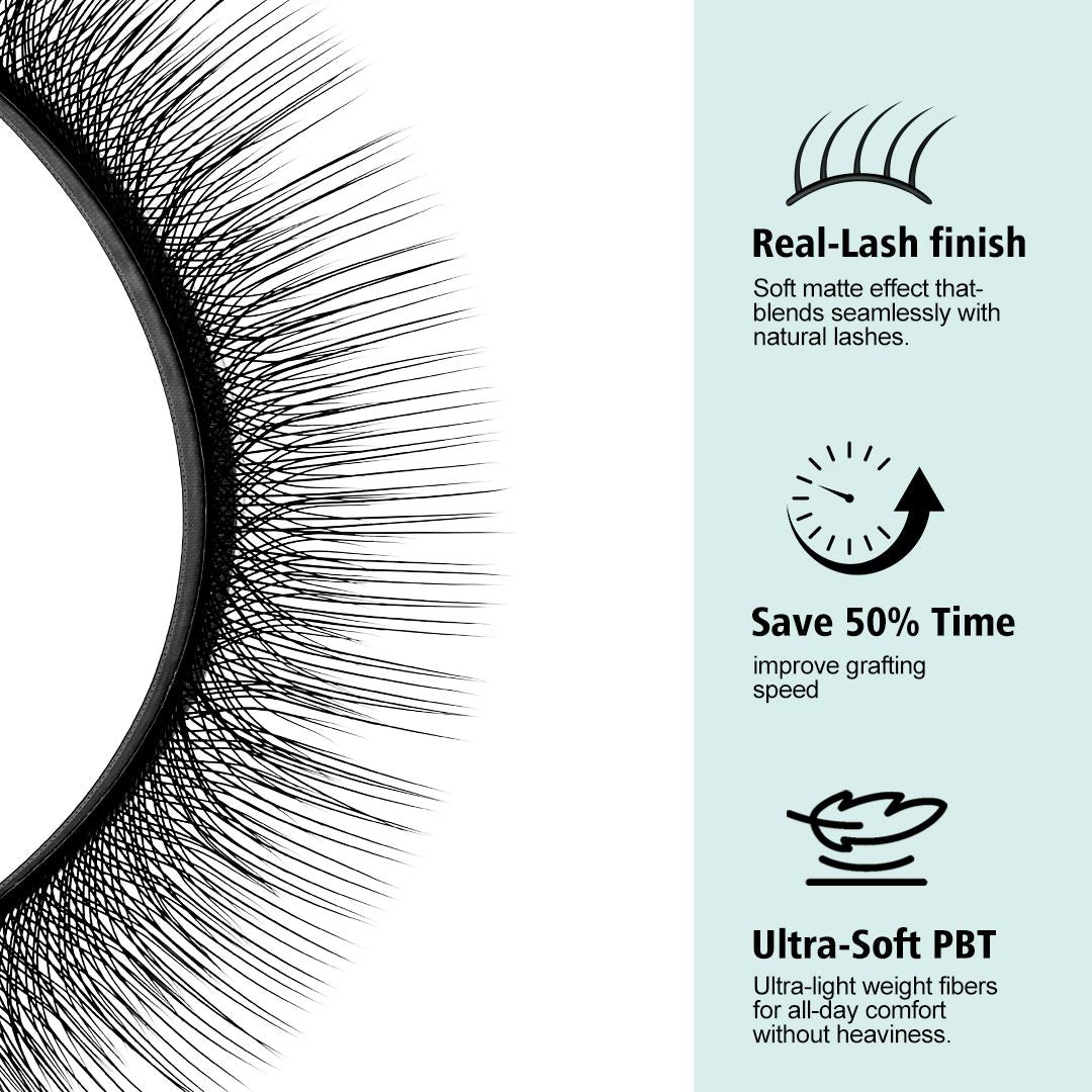 Camellia 4D W-Shaped Eyelash