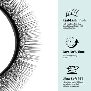 Camellia 4D W-Shaped Eyelash