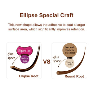 Borwn Ellipse Shape Eyelashes( Mix8-15mm / 12Rows)