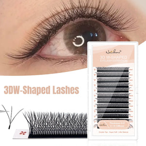 3D Double W-Shape Premade Volume Lash Fans