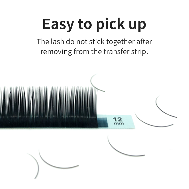 Ellipse Shape Eyelashes( 8-15mm / 12Rows)