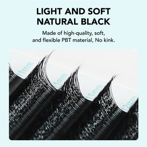 Camellia 5D W-Shaped Eyelash
