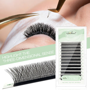 6D W-Shape Premade Volume Fan Lashes