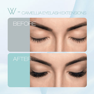 Camellia 4D W-Shaped Eyelash