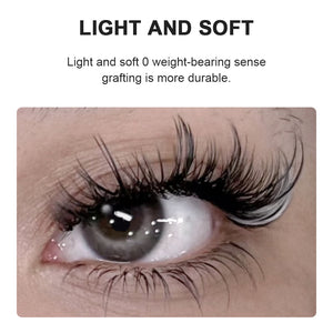 Gray Lash Extensions