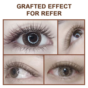 Caramel Lash Extensions