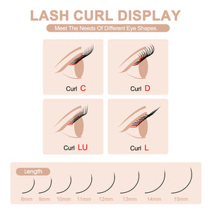 5D Double W-Shape Premade Volume Lash Fans