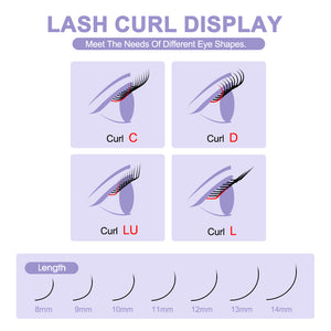 U-Shape Double 3D W Premade Volume Fan Lashes | 12 Rows