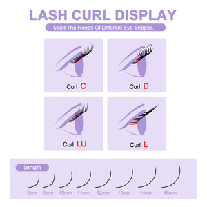 Black YY Volume Lashes | 12 Rows