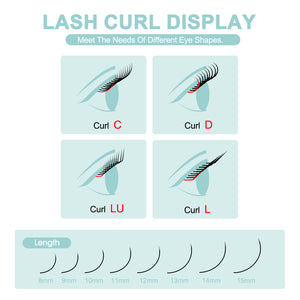 Camellia 4D W-Shaped Eyelash
