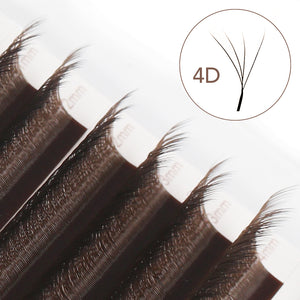 Brown 4D W-Shape Premade Volume Fan Lashes