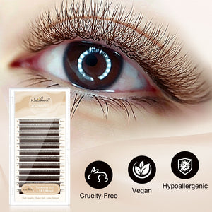 Brown 4D W-Shape Premade Volume Fan Lashes