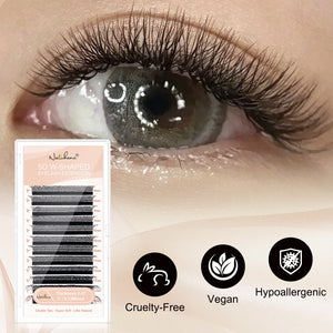 5D Double W-Shape Premade Volume Lash Fans