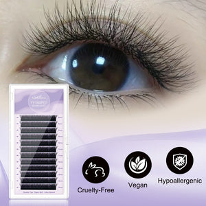 Black YY Volume Lashes | 12 Rows