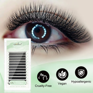 6D W-Shape Premade Volume Fan Lashes