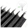 6D W-Shape Premade Volume Fan Lashes
