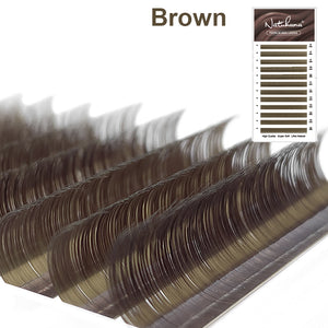 Black Brown Lash Extensions