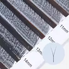 2D Y Single Tip Lashes